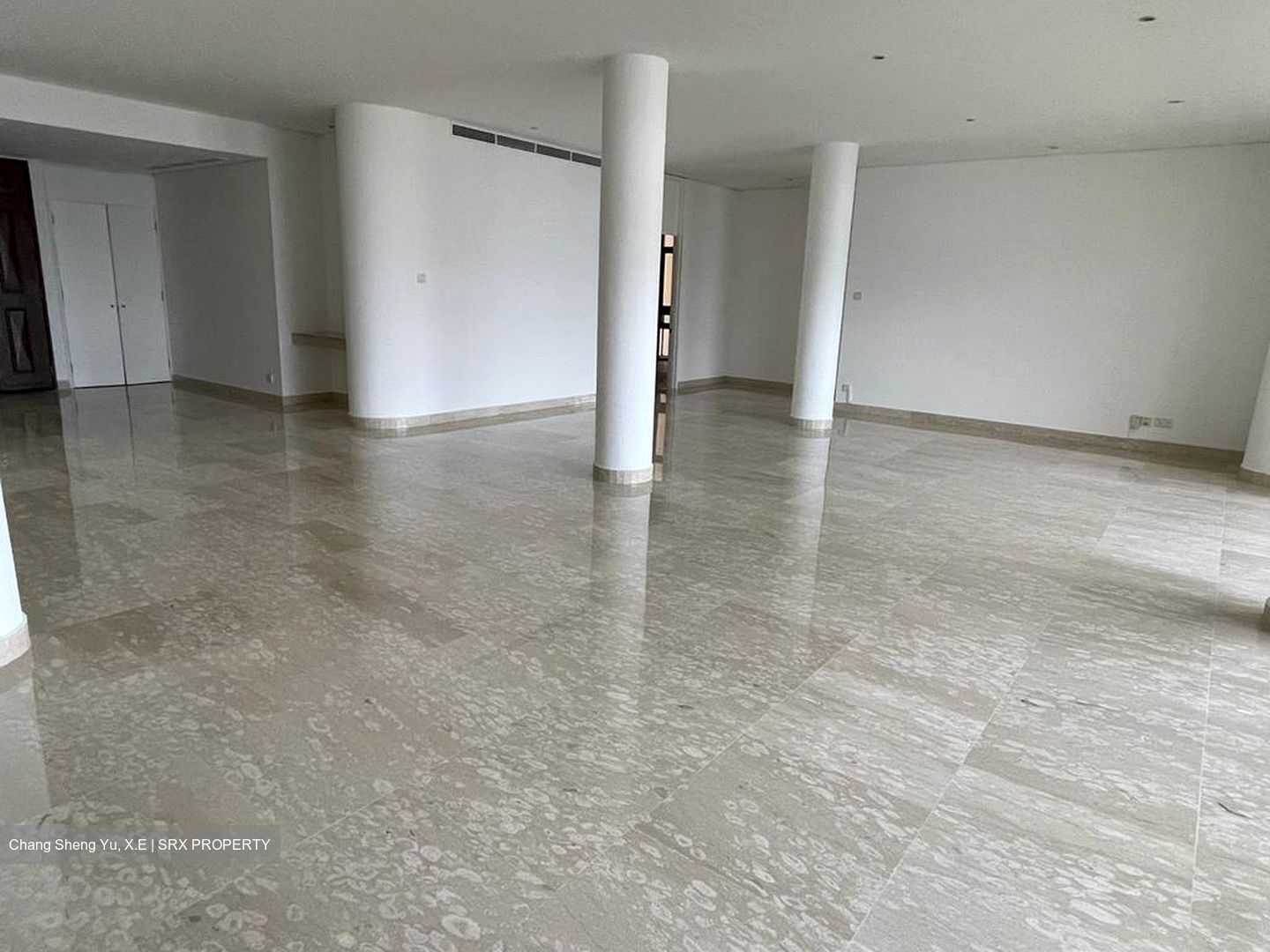 The Colonnade (D10), Condominium #486366421